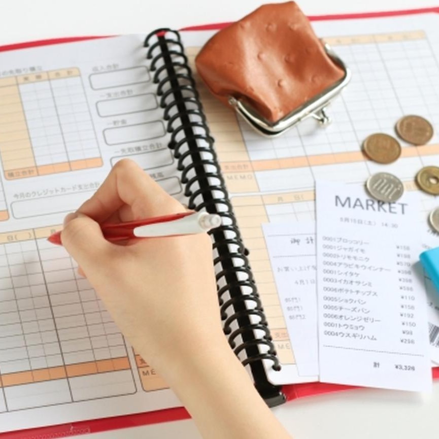 An image showing a household budget with recorded income and expense items. A page of a budget book for easy monthly financial management.